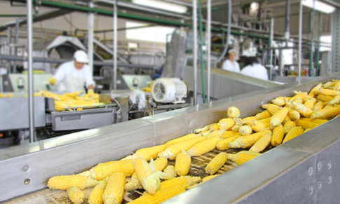 What is the Food Safety Modernization Act (FSMA)?