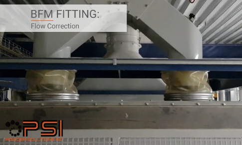 BFM fitting: Flow Correction